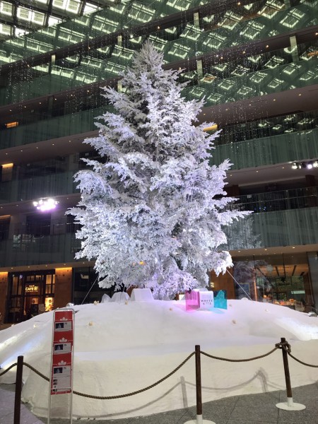Image from iOS